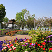 Ҧ�ҵ���԰������