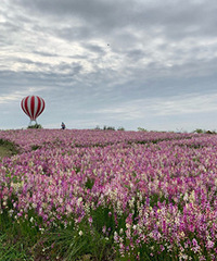 ��ĩȥ�����Ĵ����� ��Ƭ��������