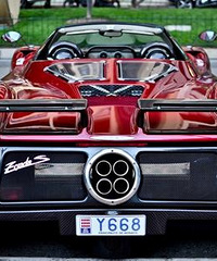 ���������ʲô����