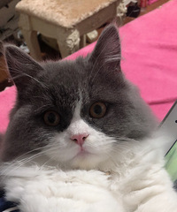 �ٵ�������