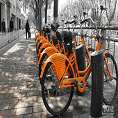 �����е���ɫ