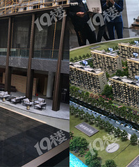 �Ƽ��ǵ����߾���ҡ�����ϣ������������