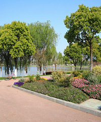 Ҧ�ҵ���԰�غ�����һȦ