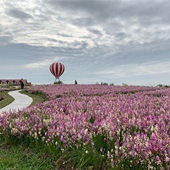 ������������Ƭ�ܺÿ�