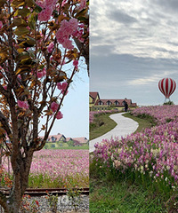 ��ĩȥ�����Ĵ����� ��Ƭ��������