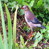 ˿�������֬��