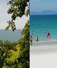 ������ѿׯ�ճ������������Ե���