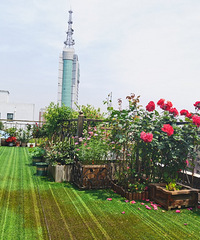 �����ˣ���ɹ������ҵ�ˣ�������һ���ˣ���û�ٻ���˼