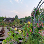 ·��ʱ�������µ�