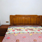 ʵľ�񻨴�������