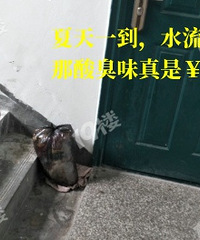 �����ھӾ��ǲ���������