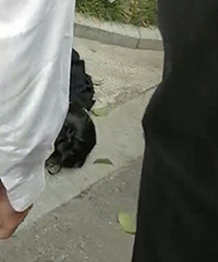 ���簡���γ��̶���������׹¥