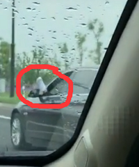 ��ʻԱ��Ȼ�ѽ�������⣿���ļ�ʻҪ���ã�