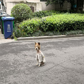 ���ڴ��·��Ĺ���