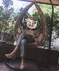 �������·�����һ�»�����Ҫ��