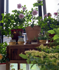 ��ôƯ������̨ ��Ҳ��ӵ�У�