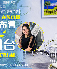 5.16ֱ������̨���˽��㲼�� ����