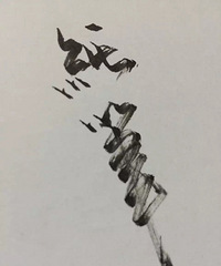 ��520�����㡿91�����GG ���� ϲ�����С�����