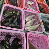 �����г����㳬����