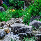 ��������˹���