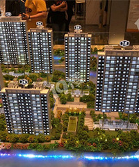 ���̵����ӣ�˫ˮϵ���Ƶ�С�뵺���Ķ�����