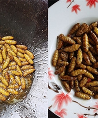 �Ҿ���ζ���ܸܵ� ������ÿ���˶���