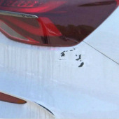 �����³�������4��