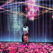 �Ҽҵķ�ɫС�к�