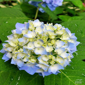 �߹�·����Ҫ����