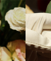 ̽�����Ψһһ�ҿ�����