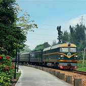 ������Ƥȥɢ�ĵĳ���