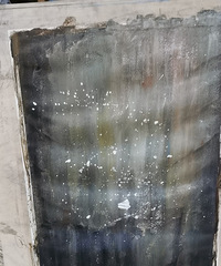 ���Ա�ϩ��