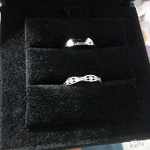 �Ϲ����ŶԽ���ÿ���