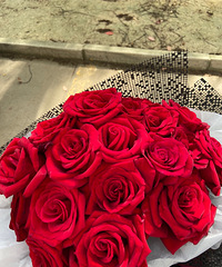 5.20��������׼����� ��ϲ��