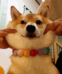 5.27ֱ�����ȳ���ã��ʹ����