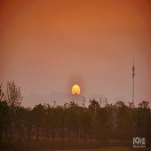 �峿���������