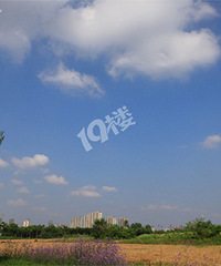 �˾ӣ���ҵ��������Ǻ� �洦���Ǿ�