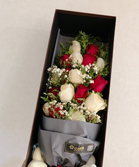 ����������ĵ�һ���� ��������