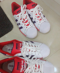 ׼���������۶�����