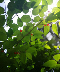 ÿ�춼���µ�