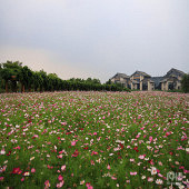 ��ɣ���� �۷�����