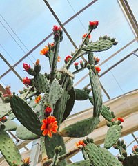 93��С���̣�  ���Ļ����� �����һ��С���