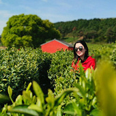 �·�����������Դ