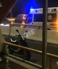 ������԰���������������ӡ���