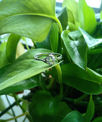 ������ˬһ�ĵ����