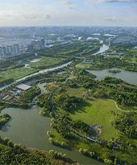 �������ĵĽ�� ����������ȥ�������Ǽ�����