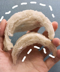 [�ں�����]���������α�� �����ѡ������