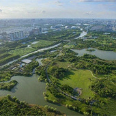 �������ľ���������