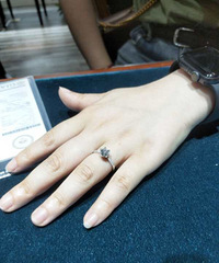 ����������֮��