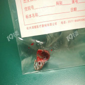 ������271��Сʱ